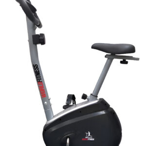 Bicicleta Mag Tradicion K5005 Asiento Regdoble World Fitness